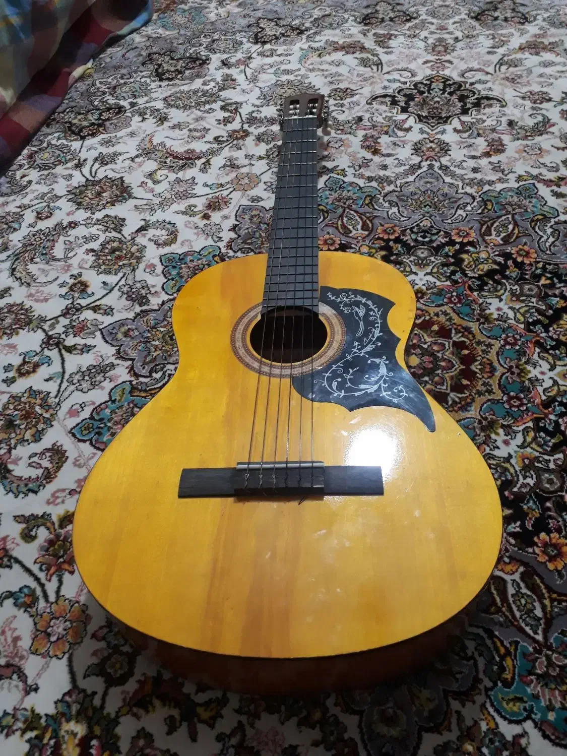 گیتار همراه با کاپو وپایه گیتار|گیتار، بیس، امپلیفایر|نکا, |دیوار