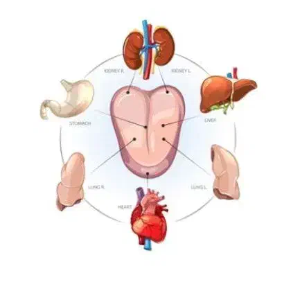 آموزش طب سنتی درمان|خدمات آموزشی|یاسوج, |دیوار