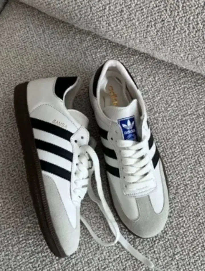 چند تکه لباس نو|لباس|حمیدیا, |دیوار