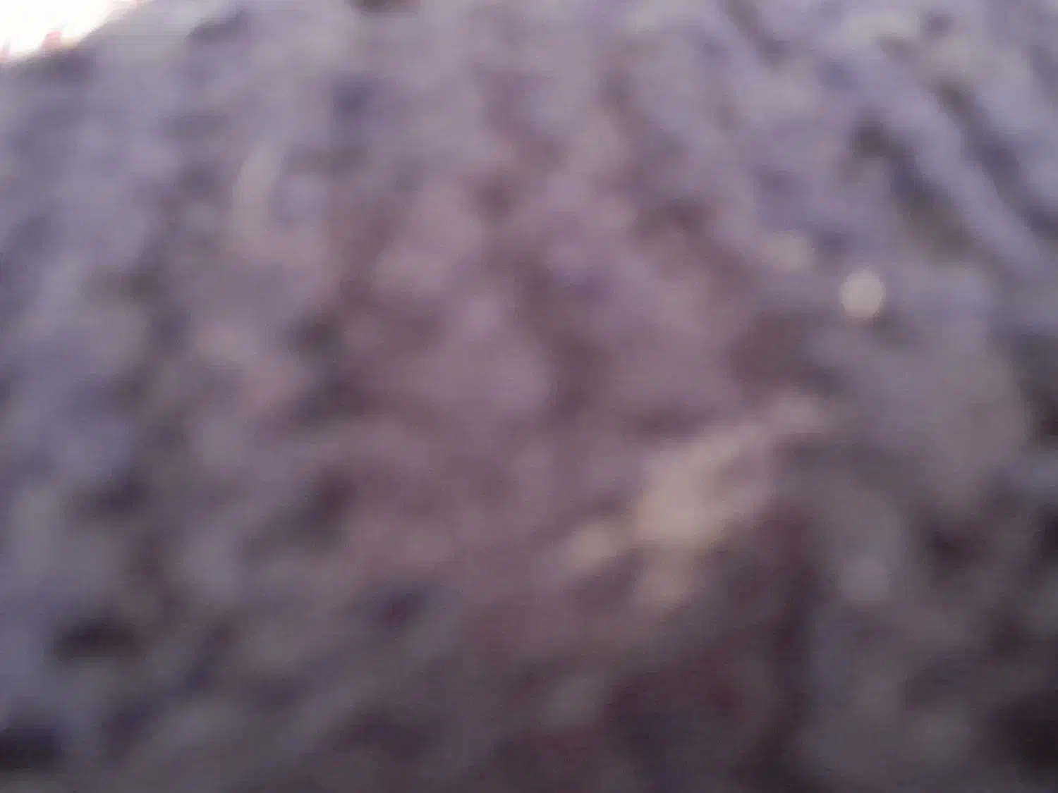 رو بند|لباس|بجنورد, |دیوار