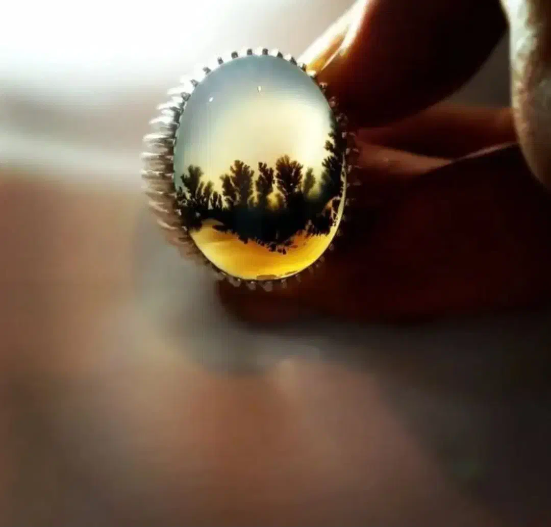 شجر،زبرجد،|جواهرات|کرج, حصارک پایین|دیوار