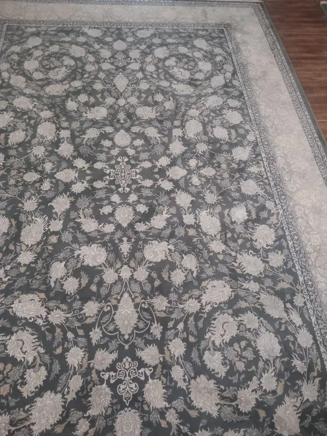 دوهفته فرش طرح جدید درحدنو|فرش|بندر انزلی, بی بی حوریه|دیوار