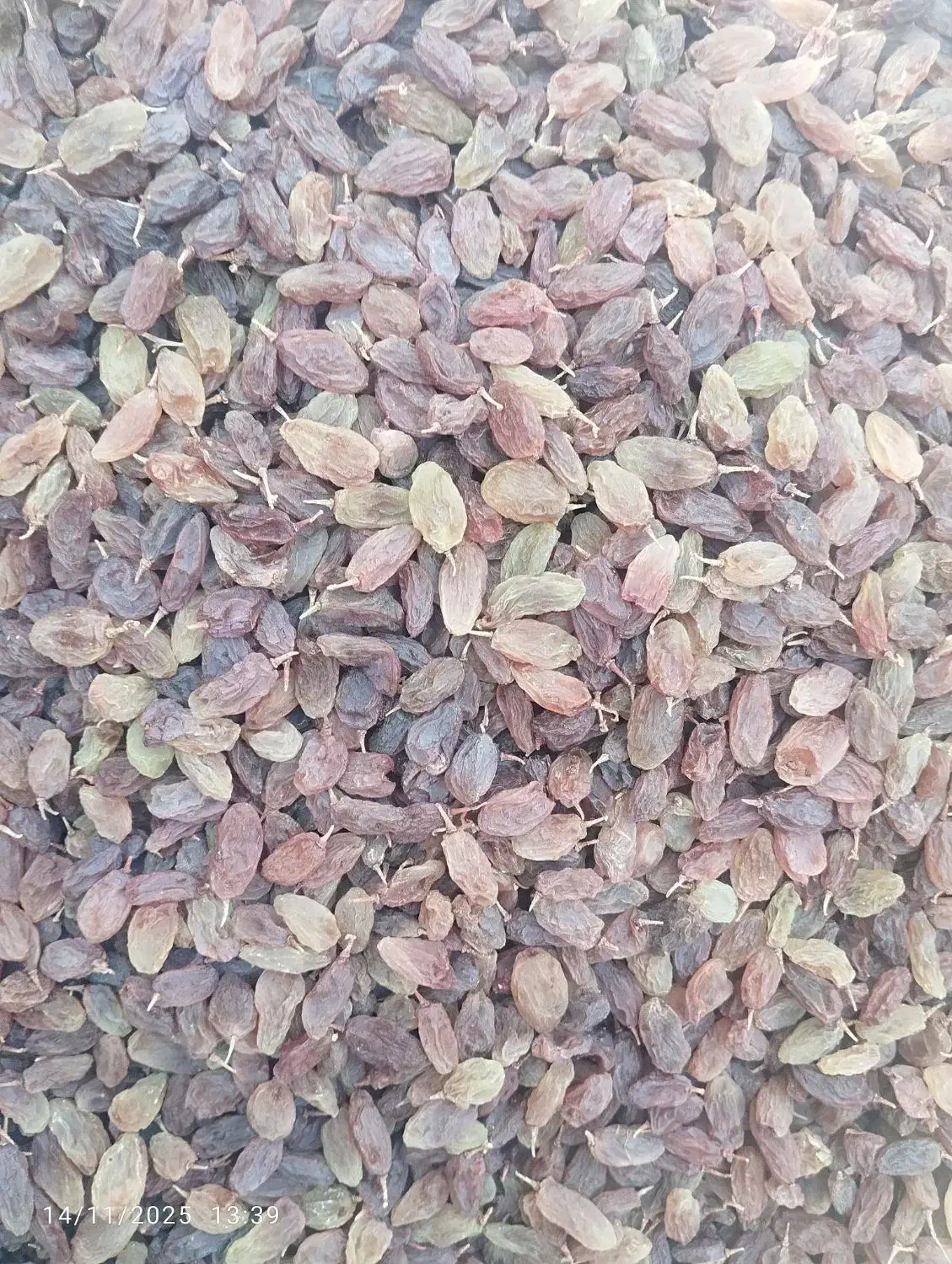 کشمش|خوردنی و آشامیدنی|یاسوج, |دیوار