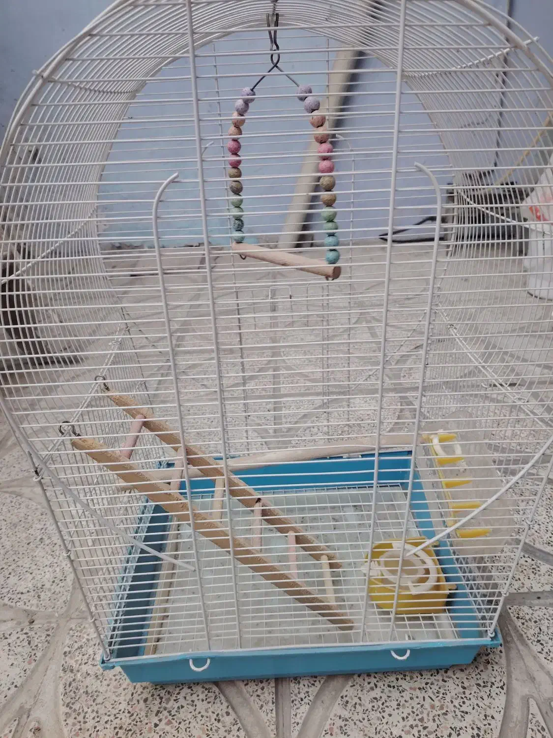 قفس|لوازم جانبی حیوانات|باغستان, |دیوار