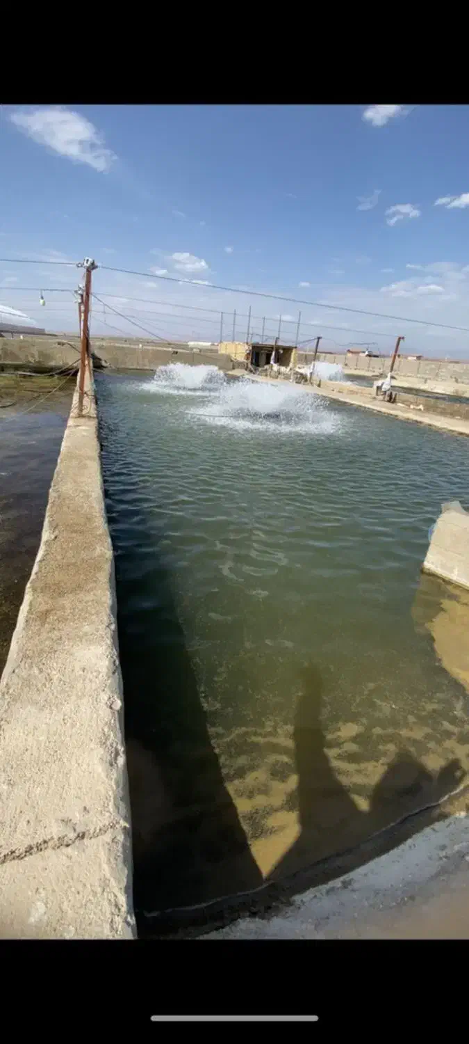 پرورش ماهی ده تنی فروشی|فروش دفتر صنعتی، کشاورزی، تجاری|ورزنه, |دیوار