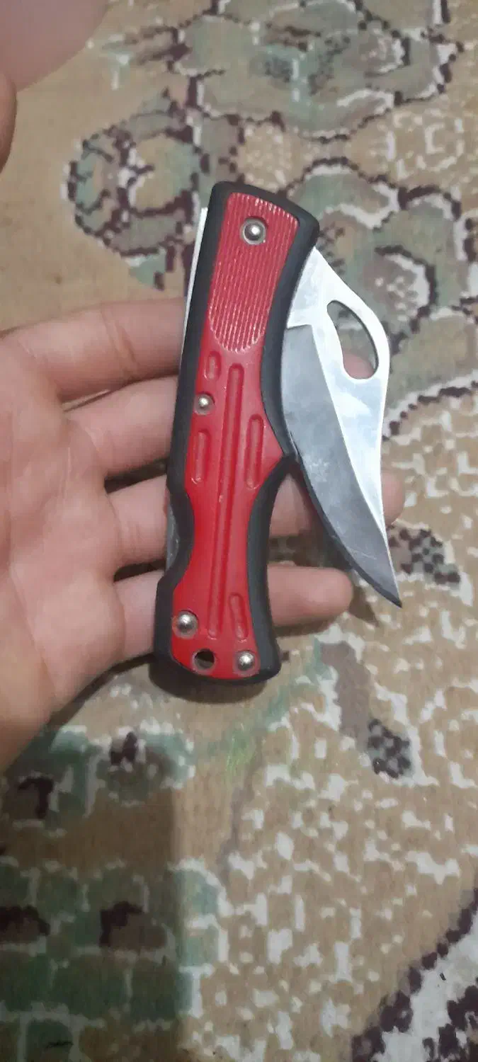 االهادی کوی علوی|کلکسیون و سرگرمی|اهواز, شهرک توسعه نیشکر|دیوار