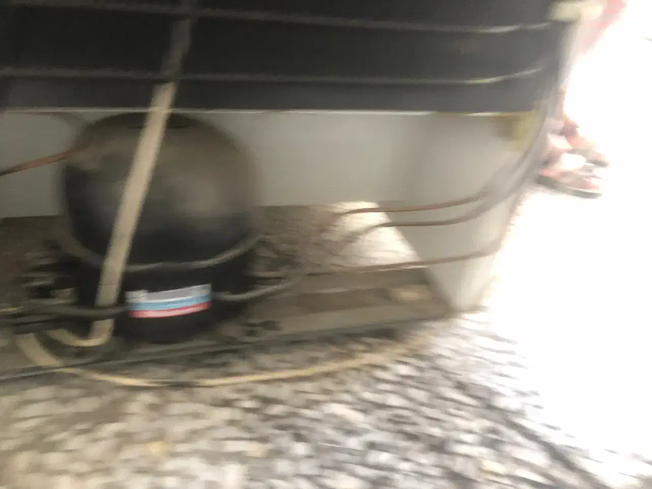 دو عدد فریزر سالم|یخچال و فریزر|صدرا-فارس, فاز ۱|دیوار