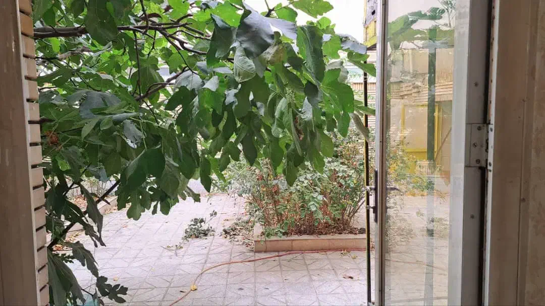 231متر زمین/ دونبش/ حاشیه فدائیان اسلام/|فروش زمین و ملک کلنگی|مشهد, هفده شهریور|دیوار