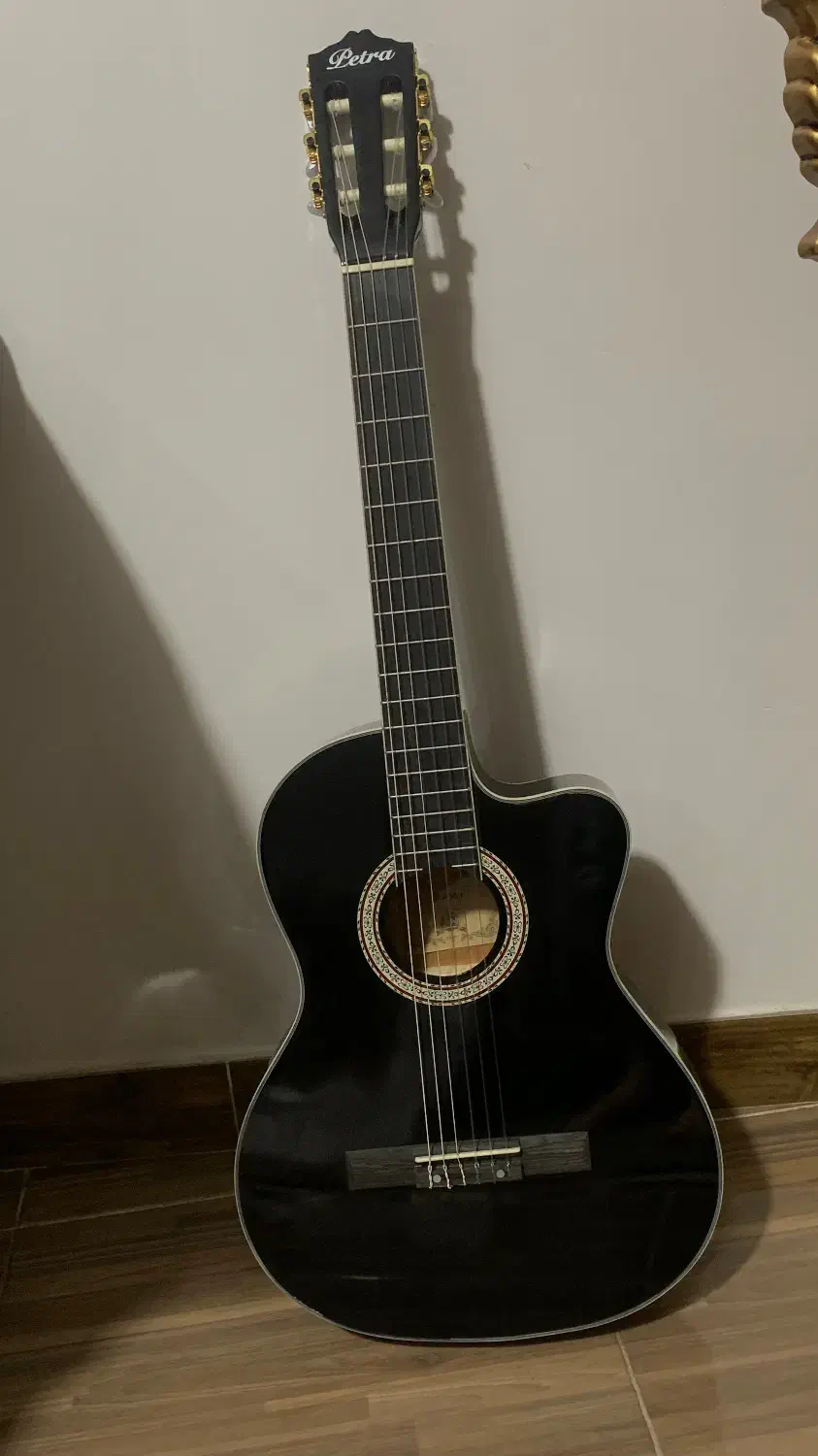 گیتار اصلی پیترا‌‌|گیتار، بیس، امپلیفایر|رشت, پارک شهر|دیوار