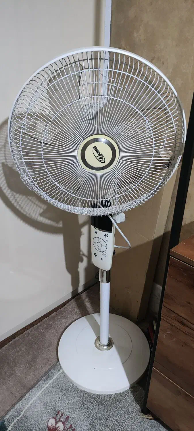 پنکه برقی|پنکه و تصفیهکنندهٔ هوا|تربتحیدریه, میدان مرکزی|دیوار