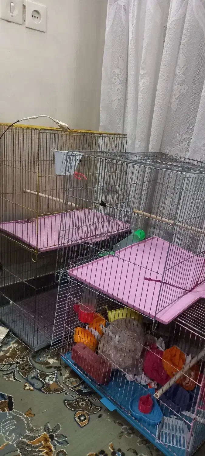 قفس|لوازم جانبی حیوانات|اصفهان, ارداجی|دیوار