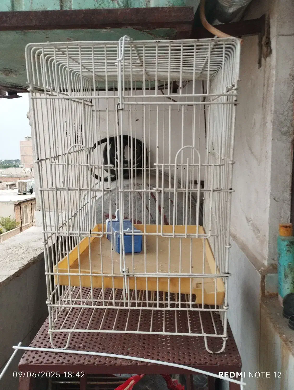 قفس پرنده|لوازم جانبی حیوانات|بهارستان, |دیوار