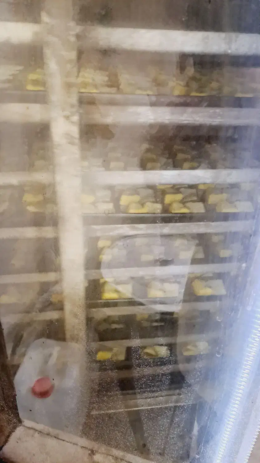 فر ۱۲ دیس گردان شیرینی پزی و کلوچه پزی|فروشگاه و مغازه|کومله, |دیوار