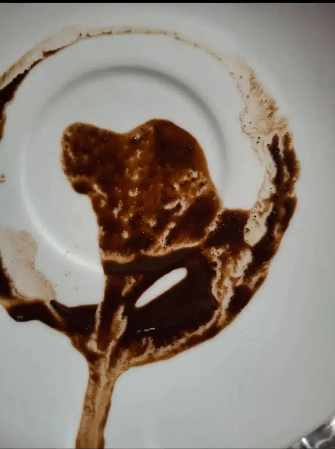 فال قهوه تاروت اوراکل آینه بینی 100% دقیق|خدمات پذیرایی، مراسم|تهران, ستارخان|دیوار