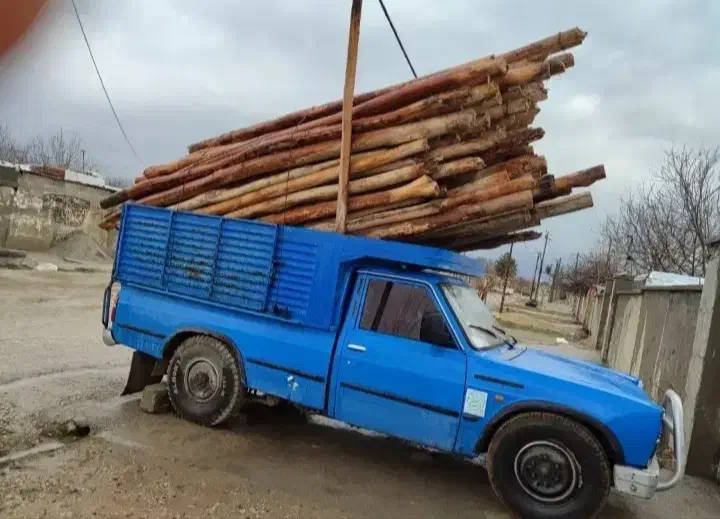 انواعچوبچناروضایعاتخریدارم|عمدهفروشی|ماهیدشت, |دیوار