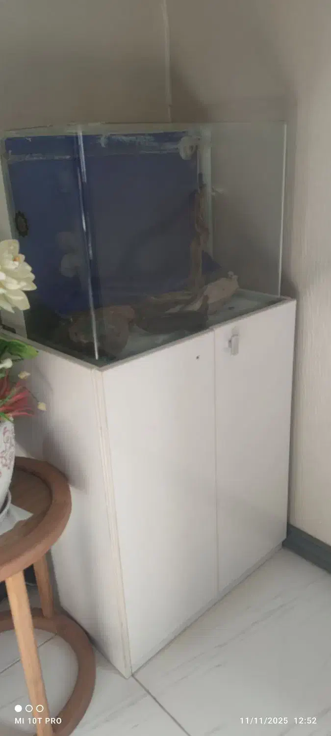 اکواریوم اب شور و آب شیرین|ماهی|قشم, |دیوار