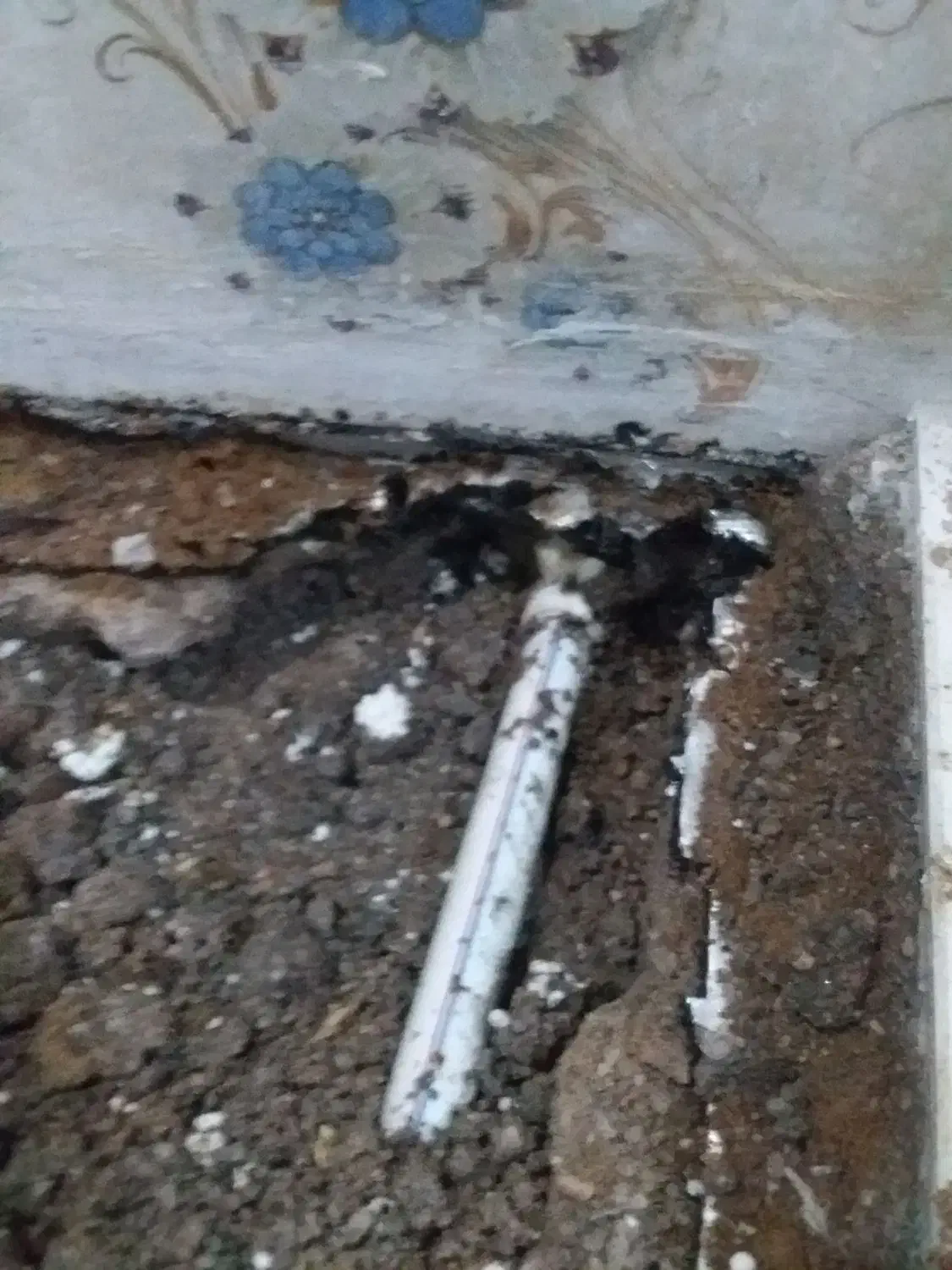 نشت یابی و لوله کشی با تعمیرات از صفر تا صد|خدمات پیشه و مهارت|اهواز, سپیدار|دیوار