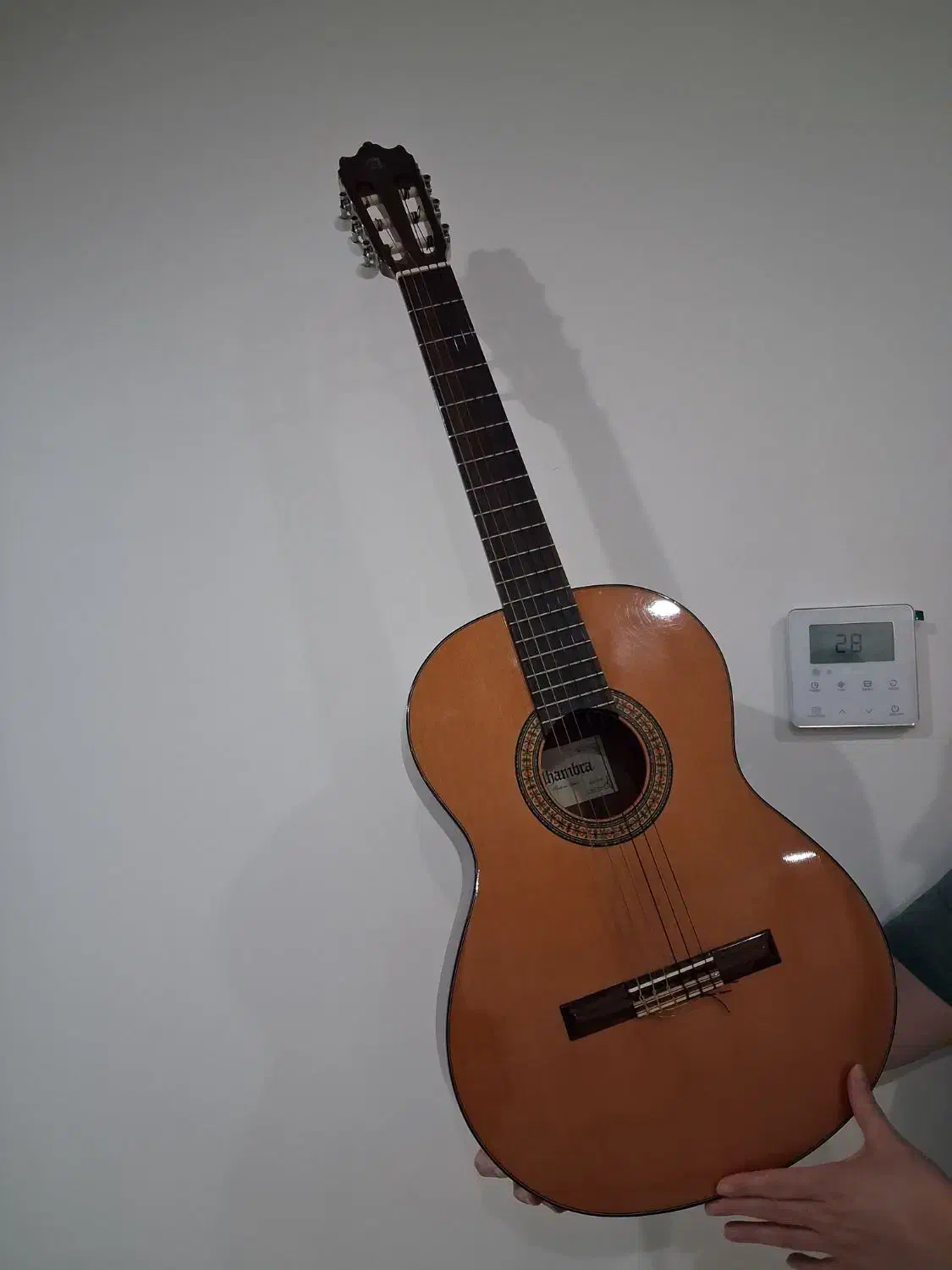 گیتار الحمرا c3|گیتار، بیس، امپلیفایر|تهران, شهرک خرازی|دیوار