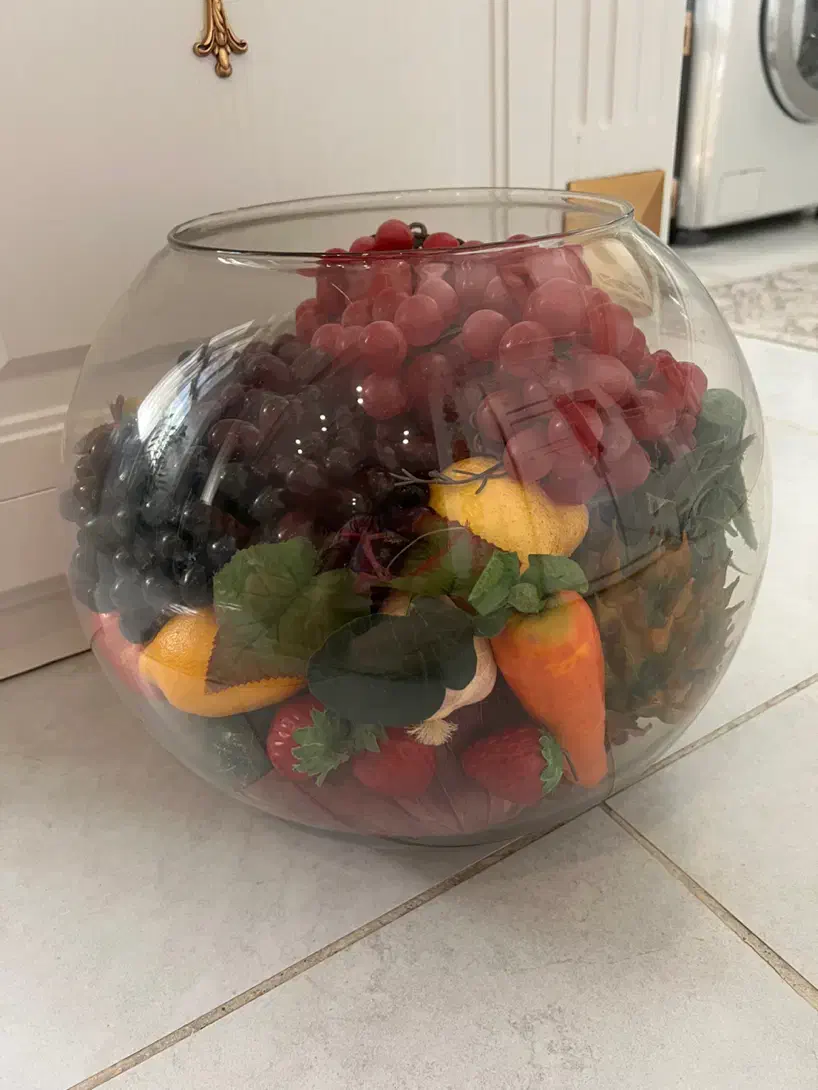 حباب|گل و گیاه طبیعی|شیراز, میانرود|دیوار