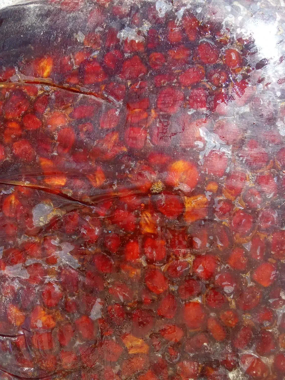 خرما|خوردنی و آشامیدنی|زاهدان, |دیوار