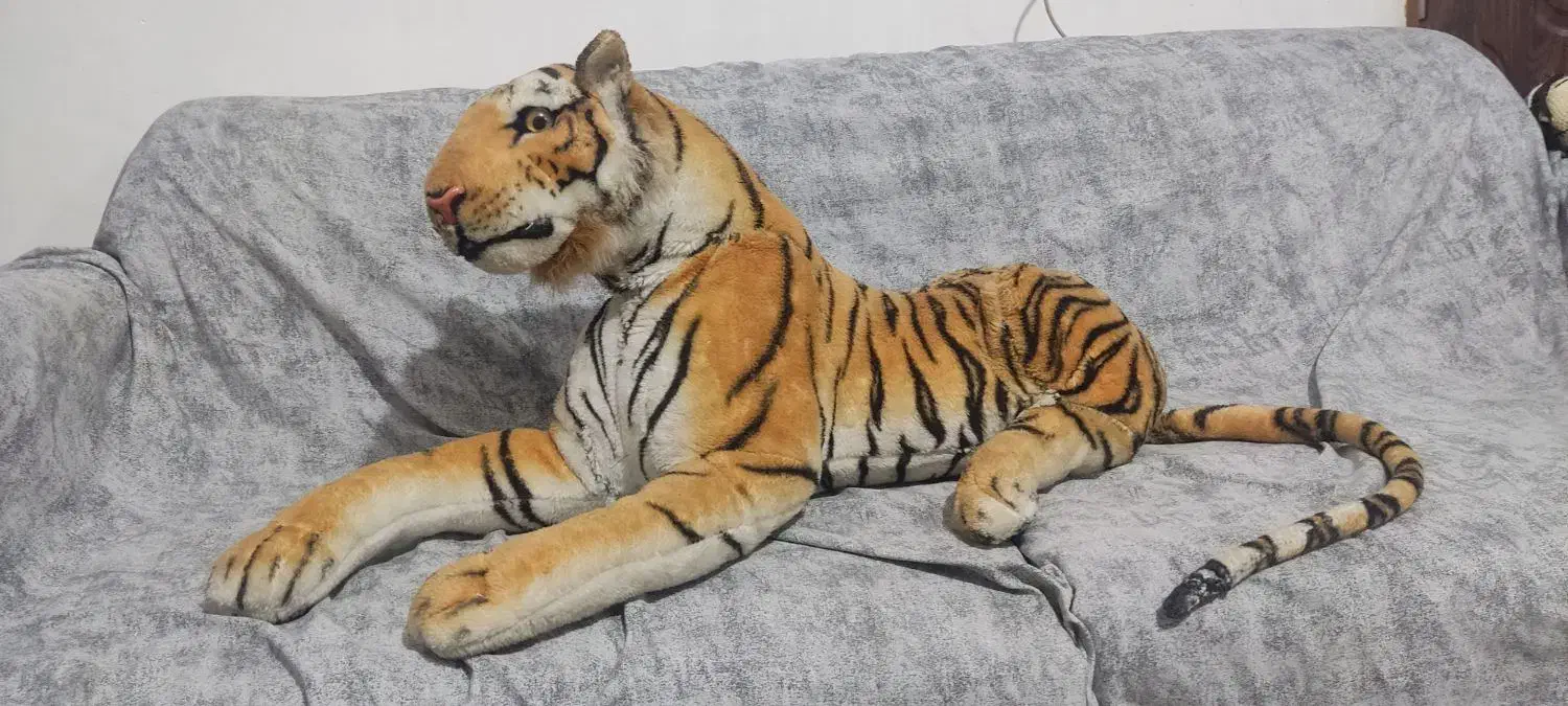 ببر بزرگ|اسباب‌‌بازی|شاهرود, |دیوار