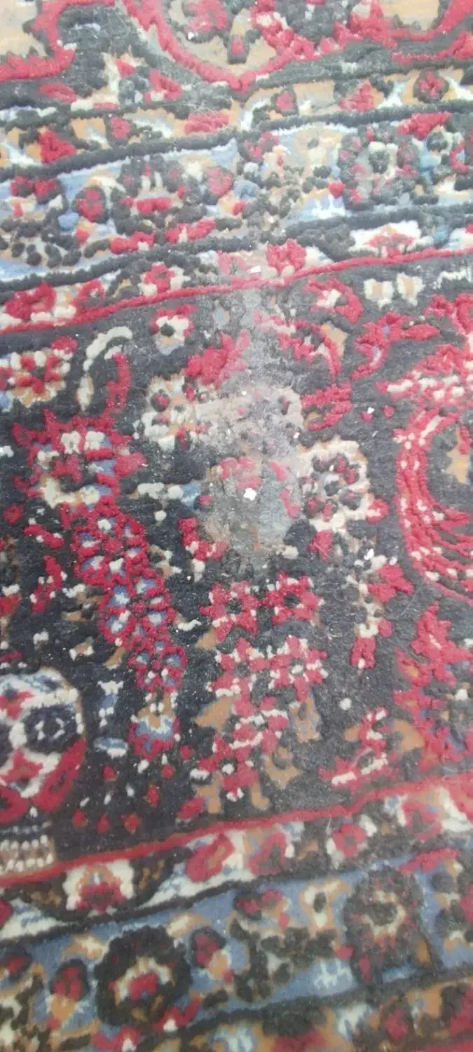 فرش|فرش|یزد, |دیوار