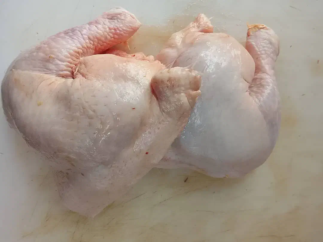 شنیسل و فیله|خوردنی و آشامیدنی|رشت, چله خانه|دیوار