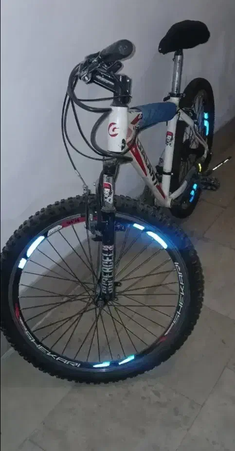 گالانت ۲۴|دوچرخه، اسکیت، اسکوتر|مهاجران, |دیوار