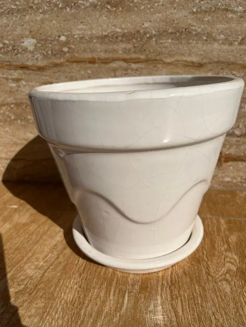 گلدان سرامیکی نو|گل و گیاه طبیعی|رشت, پل تالشان|دیوار