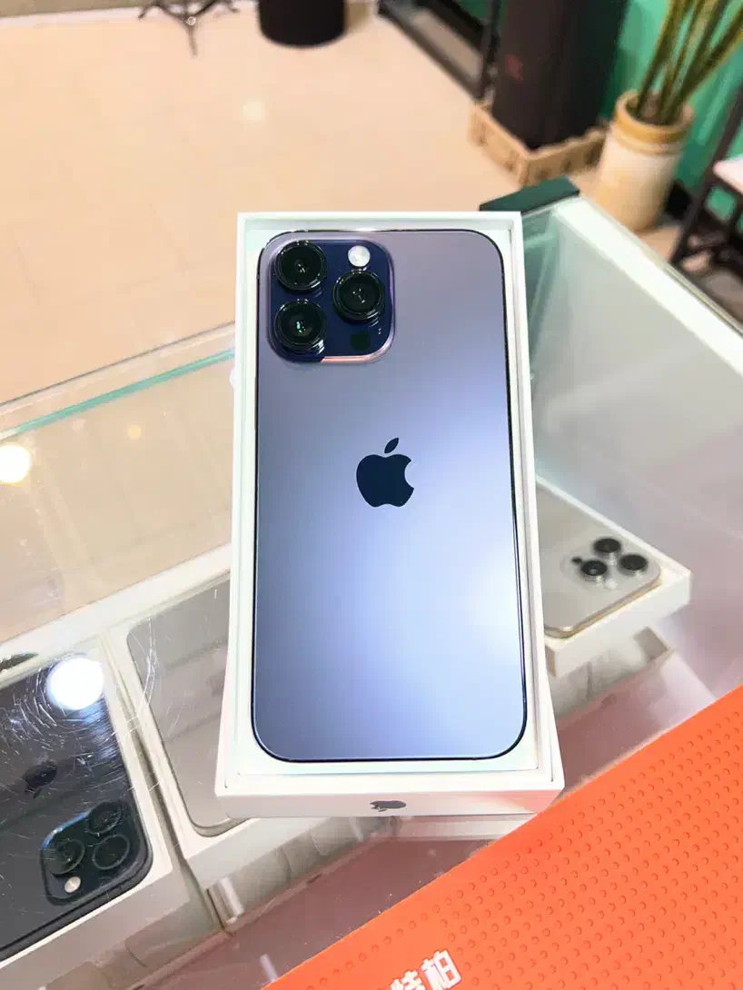 14Promax 256 ZAA Purple Battery98% فابریک|موبایل|شاهرود, |دیوار