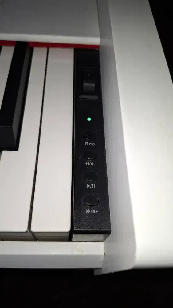 پیانو برگمولر و گیتار رویال|پیانو، کیبورد، آکاردئون|کرج, گوهردشت|دیوار