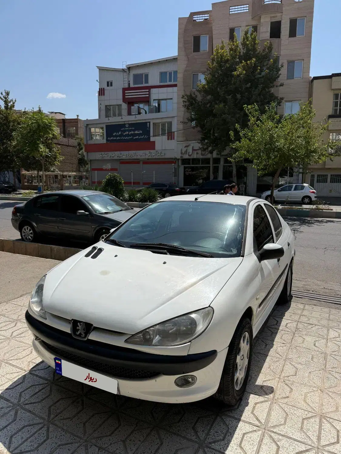 ۲۰۶ sd94 v8|خودرو سواری و وانت|نیشابور, دارایی|دیوار