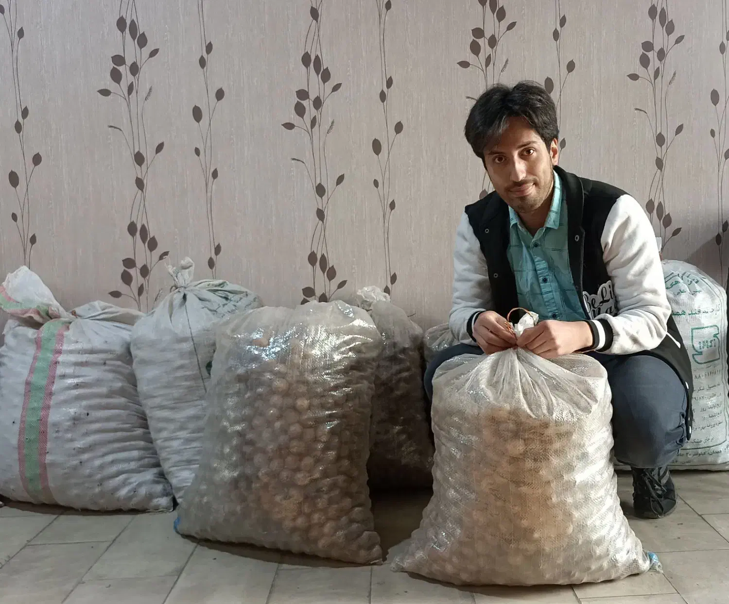 گردو تازه تویسرکان در فروشگاه گردوپیچ|خوردنی و آشامیدنی|تهران, مسعودیه|دیوار