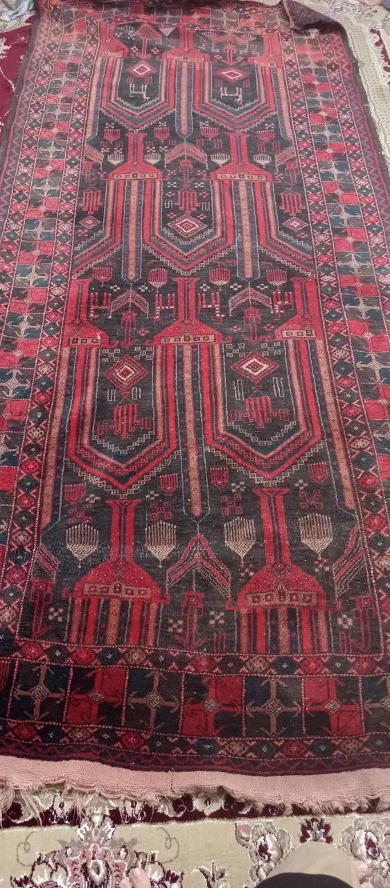 فرش دستباف|فرش|زاهدان, |دیوار