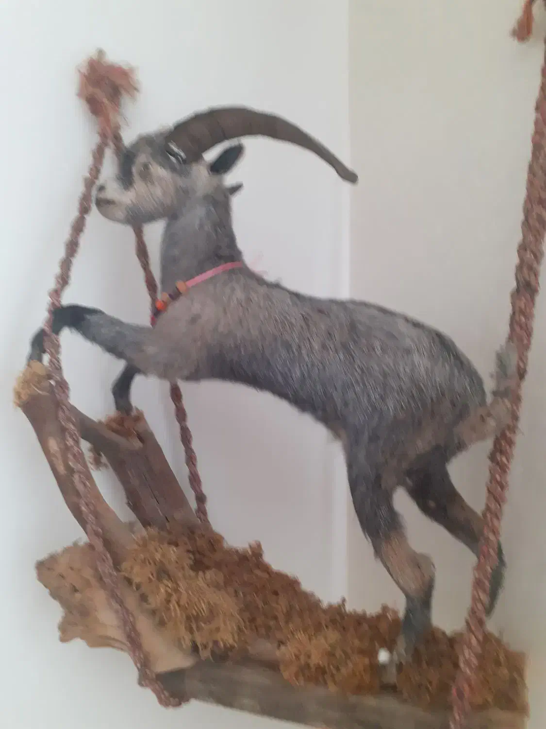 مجسمه خاص|مجسمه، تندیس، ماکت|سبزوار, ولیعصر (نجار آباد)|دیوار