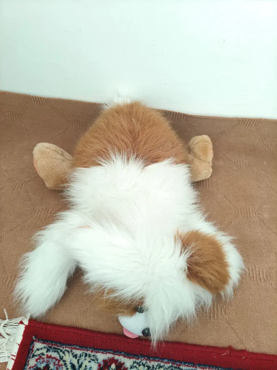 عروسک سگ بامزه|اسباب‌‌بازی|خوی, |دیوار