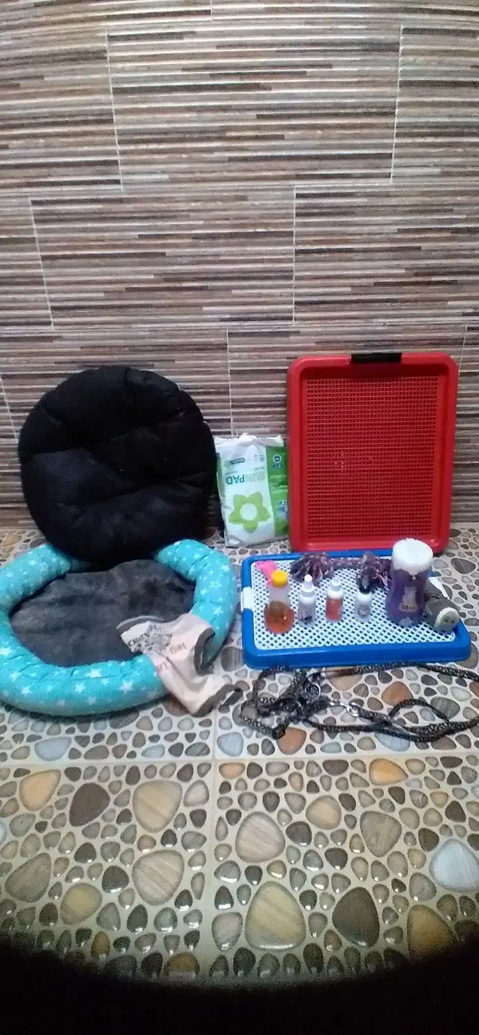 لوازم سگ|لوازم جانبی حیوانات|تربتحیدریه, پایانه مسافربری تربت حیدریه|دیوار