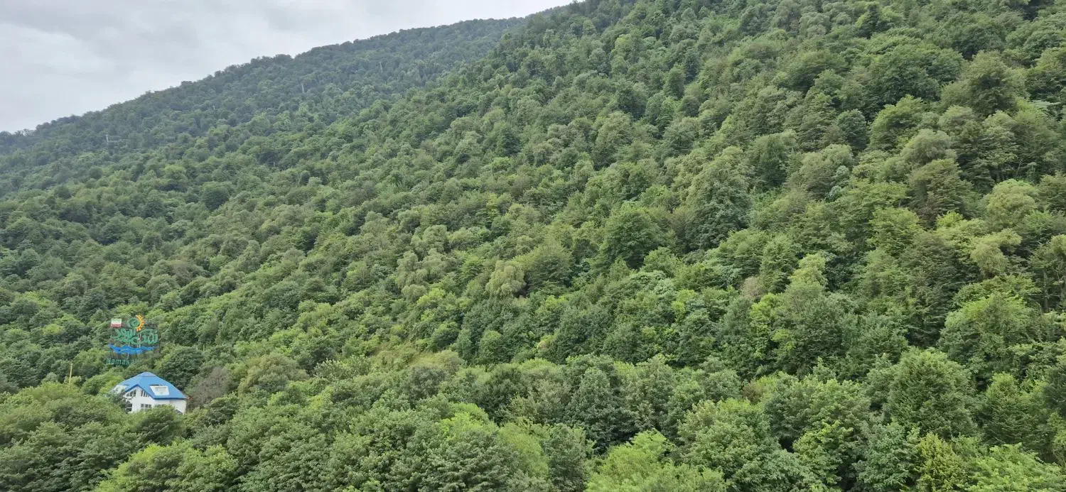 مغازه تجاری/ حاشیه خیابان فردوسی/|فروش مغازه و غرفه|تربتحیدریه, شهید بهشتی|دیوار