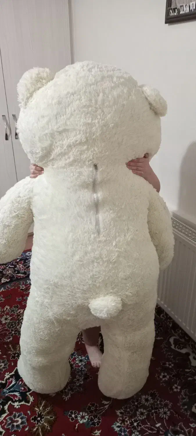 شاسخین|اسباب‌‌بازی|بهار, |دیوار