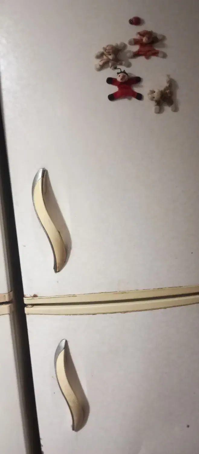 یخچال فریزر سالم 10میلیون مارک البرز|یخچال و فریزر|آق قلا, |دیوار