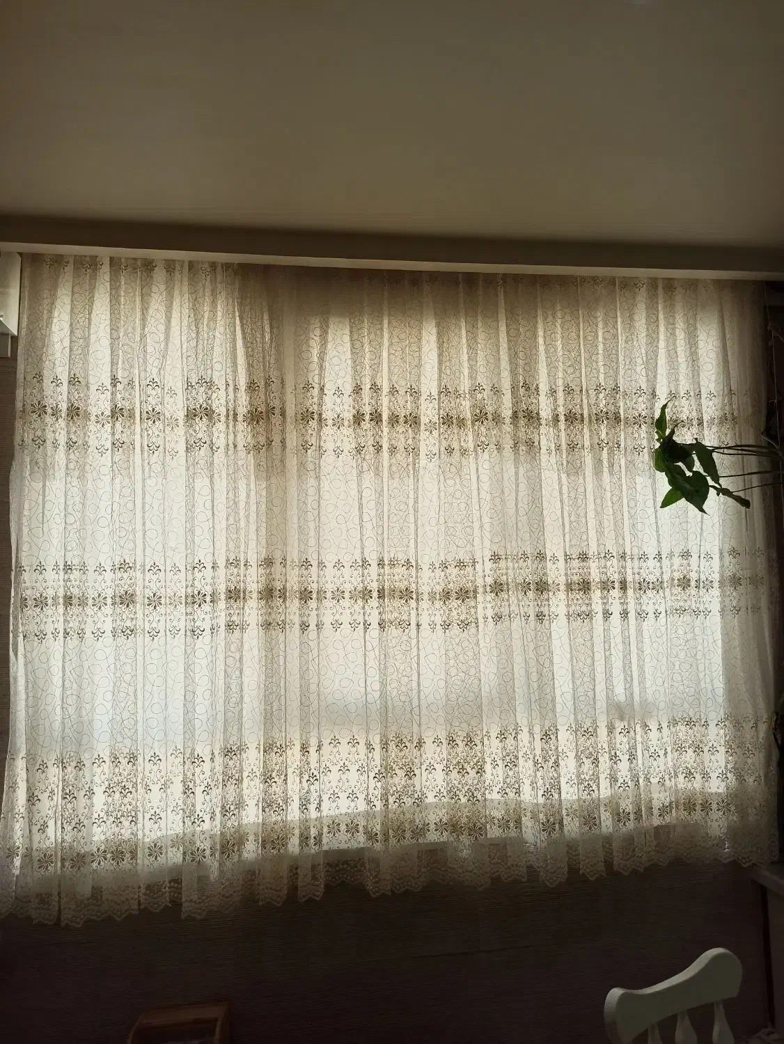 پرده|پرده، رانر، رومیزی|تهران, قیام|دیوار