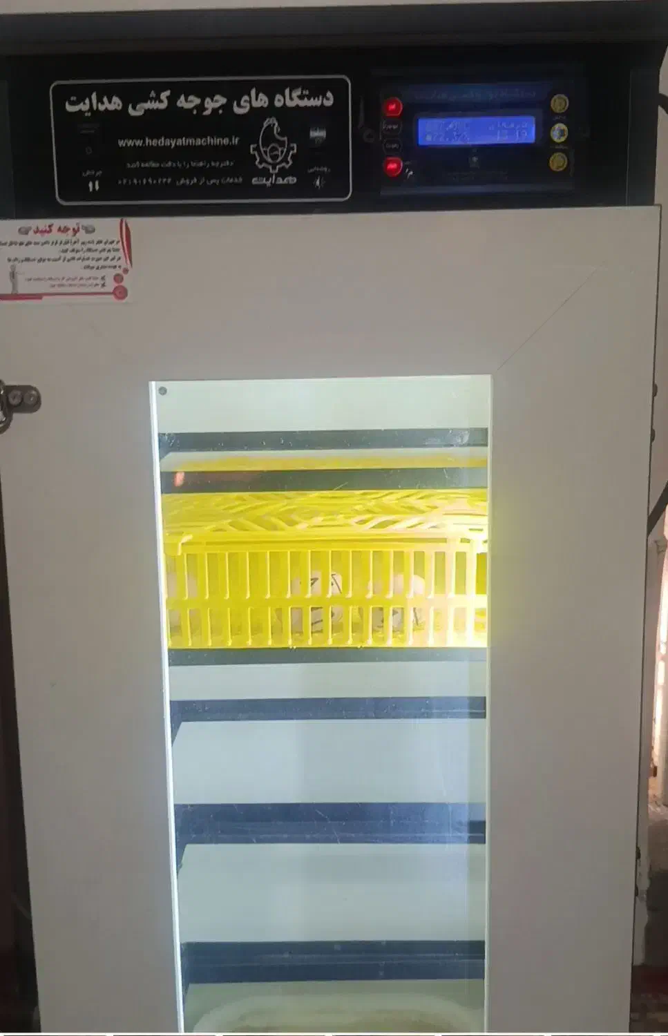 تخم مرغ|حیوانات مزرعه|خسروشاه, |دیوار