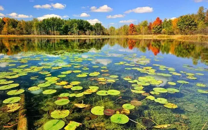 استخدام فروشنده خانم|استخدام بازاریابی و فروش|تهران, جمهوری|دیوار