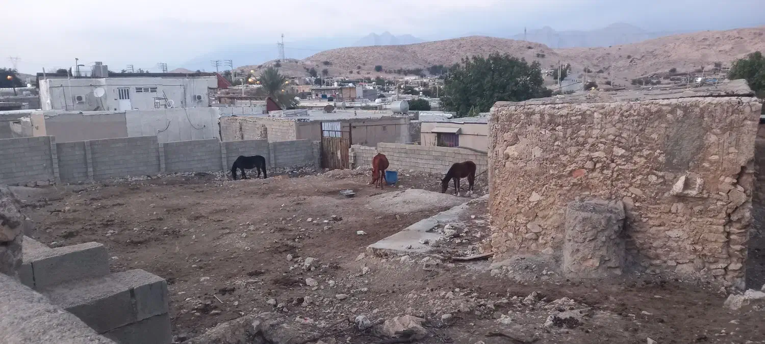 فروش زمین مسکونی سراب ننیز|فروش زمین و ملک کلنگی|دوگنبدان, |دیوار