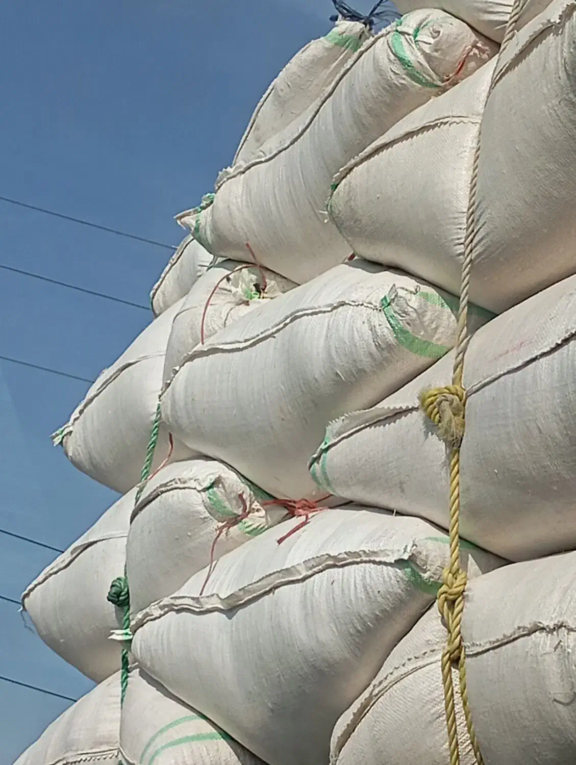 کاه|لوازم جانبی حیوانات|هشتگرد, تهران دشت|دیوار