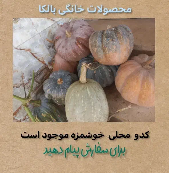 کدو محلی تازه|خوردنی و آشامیدنی|رشت, دیانتی|دیوار