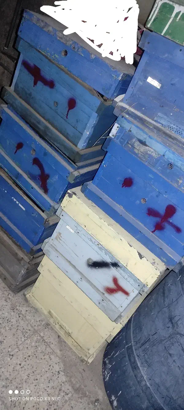 کندو زنبور عسل|حیوانات مزرعه|چرام, |دیوار