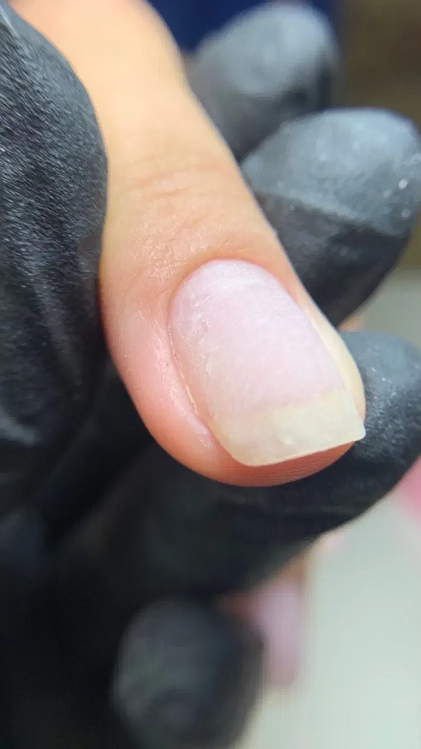 آموزش ناخن با بهترین قیمت|خدمات آموزشی|گرگان, |دیوار