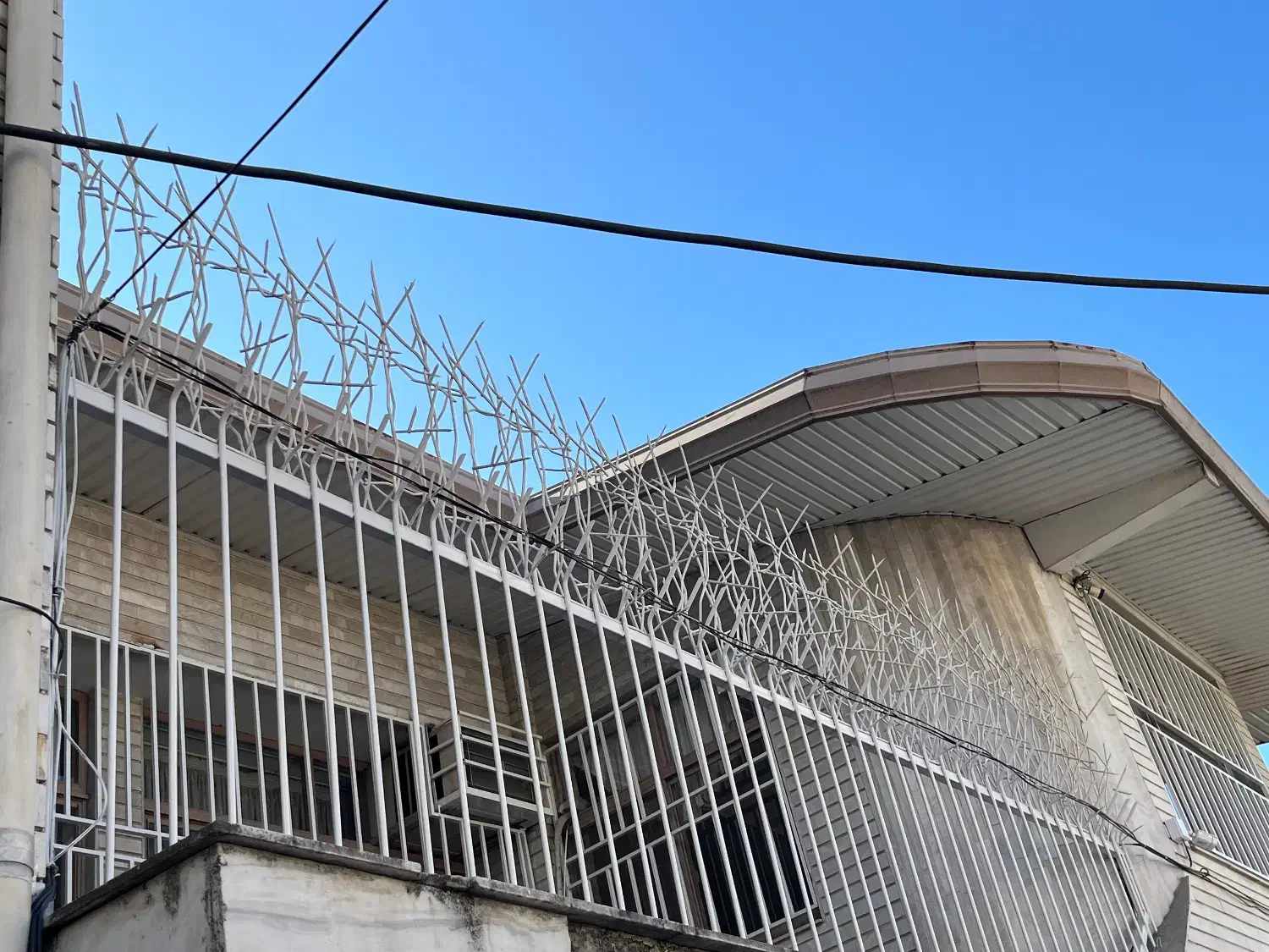 تولیدی حفاظ دزدگیر شاخ گوزنی|خدمات پیشه و مهارت|زرگرشهر, |دیوار