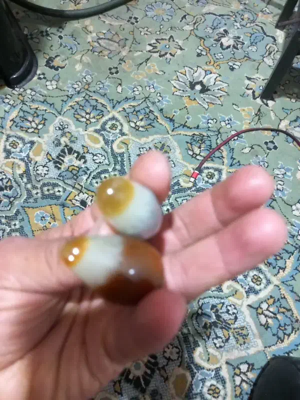 مهره برد اصل|بدلیجات|یاسوج, |دیوار